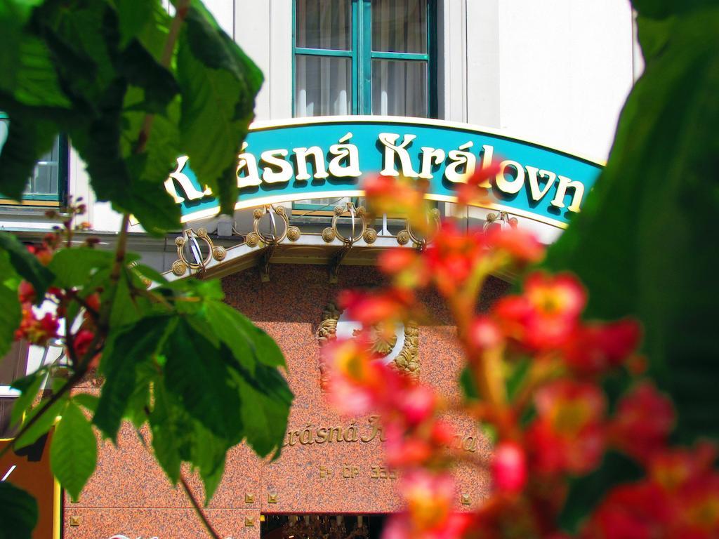 Hotel Renesance Krasna Kralovna